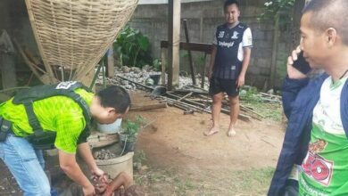 Man kills grandmother with hoe and knife in Bueng Kan