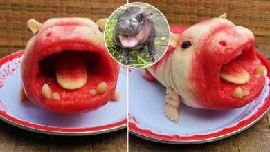 Watermelon carving of Thai hippo Moo Deng captivates the nation