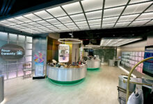 How to spend less on high-quality cannabis in Thailand | Thaiger