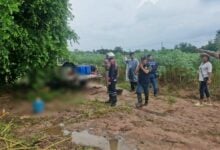 Lightning strike kills one, injures another in Chon Buri cassava field