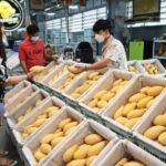 Flooding disrupts Thai agriculture, vegetable prices surge | Thaiger