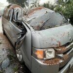 Tree falls on school van in Krabi, injures 14 | Thaiger