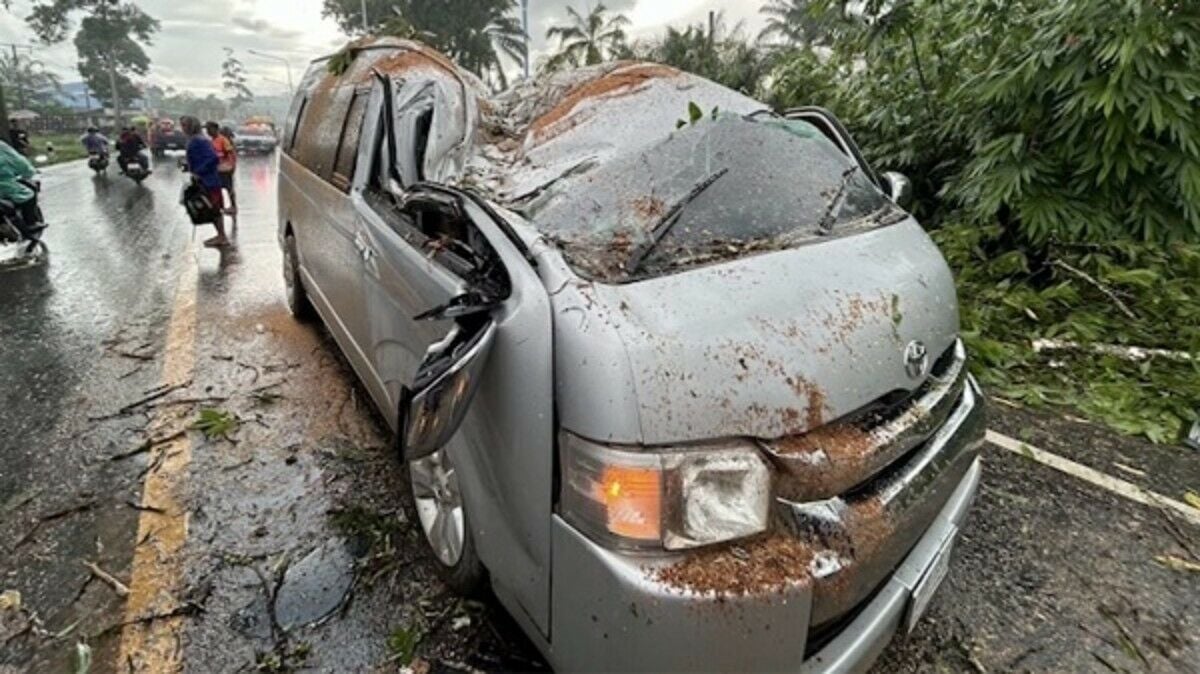 Tree falls on school van in Krabi, injures 14