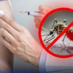 Thai Red Cross slashes dengue fever jab prices | Thaiger