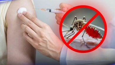 Thai Red Cross slashes dengue fever jab prices