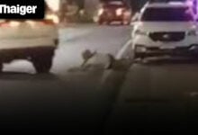 Thailand video news | Pattaya hit-and-run tragedy, American YouTuber crashes tuk-tuk