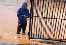 Delivery rider wades through flood to deliver package in Nong Khai (video)