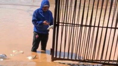 Delivery rider wades through flood to deliver package in Nong Khai (video)