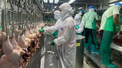 China approves three more Thai poultry plants for export