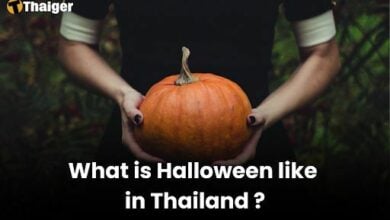 What is Halloween like in Thailand?