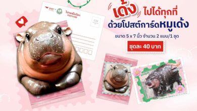 Thailand Post unveils ‘Moo Deng’ iStamp & postcard collection | Thaiger