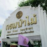 Thai forest department eases land use rules for state agencies | Thaiger