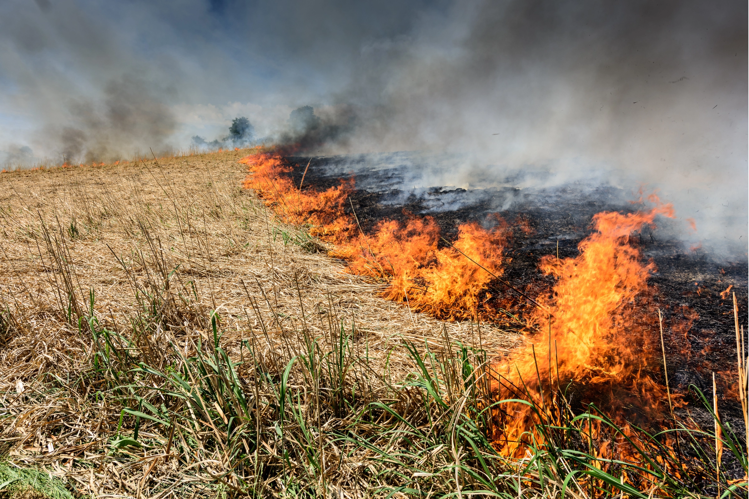 Agricultural burning