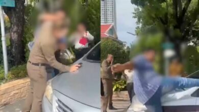 Cabbie chaos: Thai app rider punches cop in Bangkok (video)