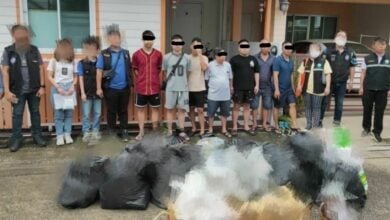 Smell of trouble: Bangkok busts 7 Vietnamese for selling cannabis