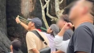 Netizens take aim at foreign woman’s slingshot antics in Chon Buri zoo