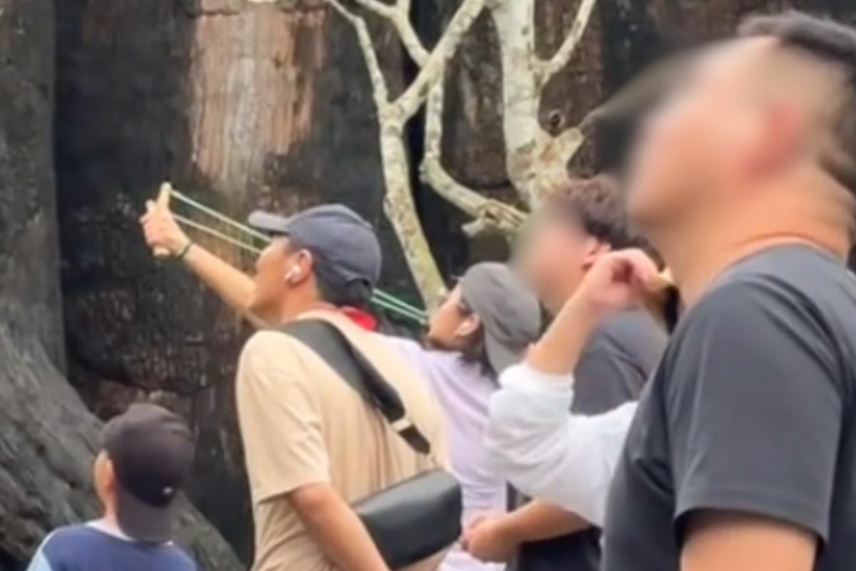 Netizens take aim at foreign woman’s slingshot antics in Chon Buri zoo