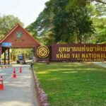 Record-breaking crowds cause traffic chaos at Khao Yai | Thaiger