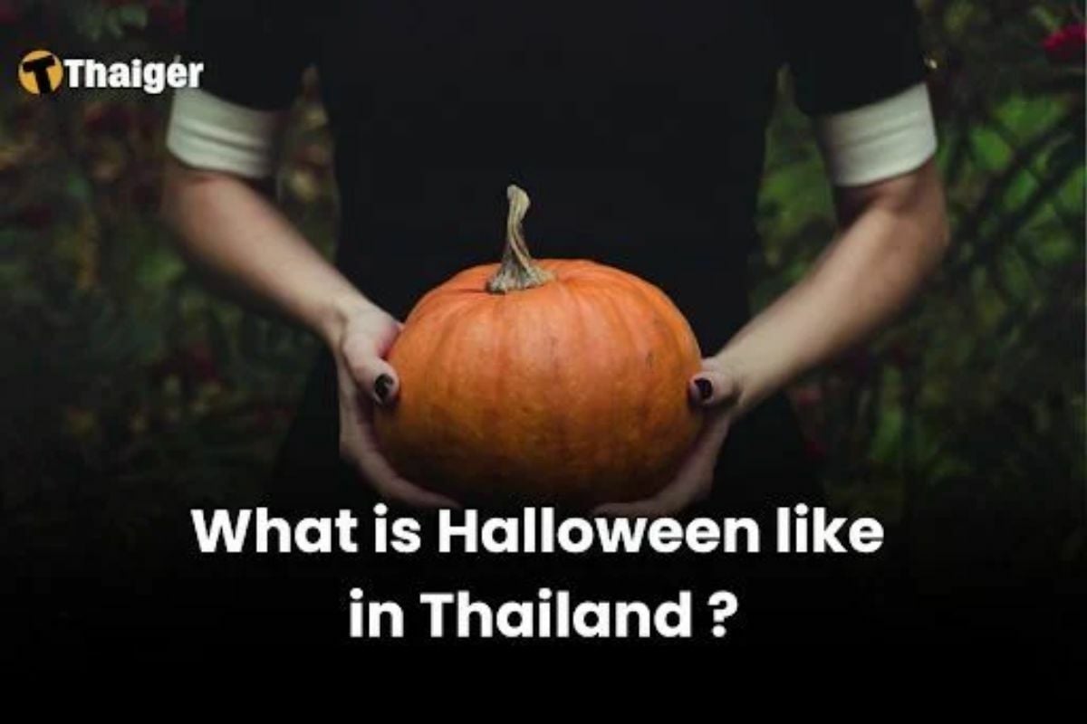 What is Halloween like in Thailand?