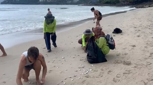 Thousands of dead fish wash ashore in Patong, alarming locals | News by Thaiger