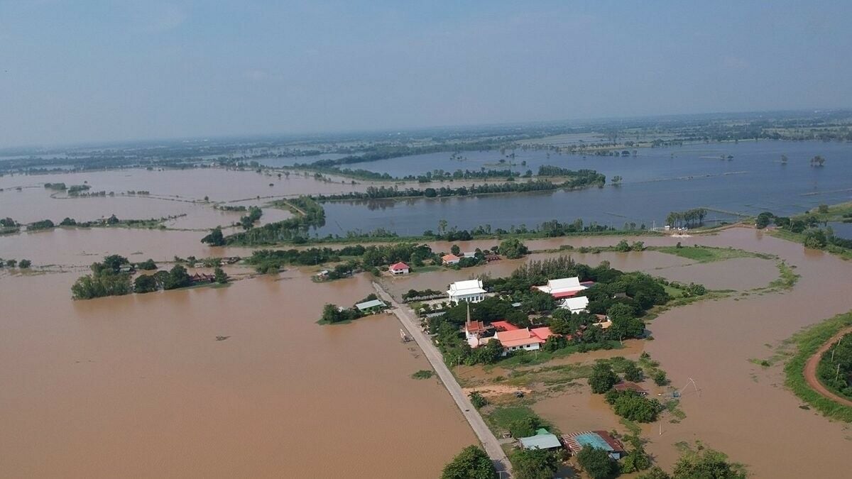 Tidal wave of trouble: Phitsanulok fields flooded as waters overflow