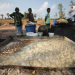 Bio-cement project launched to combat soil salinity in Thailand | Thaiger