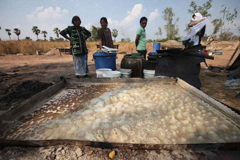 Bio-cement project launched to combat soil salinity in Thailand