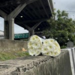 Parents seek 1.21 million baht for kids they didn&#8217;t raise | Thaiger