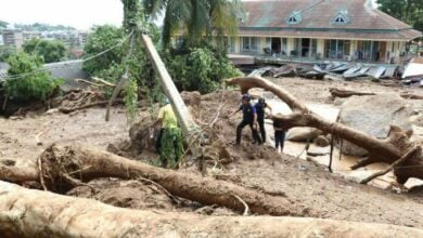 Phuket to hold ceremonies for mudslide victims next week