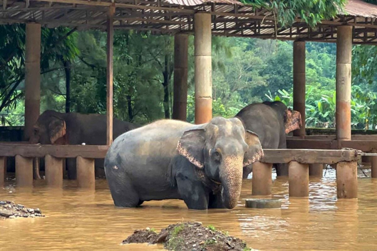 Floods wreak havoc on Chiang Mai hotels occupancy rates