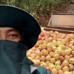 Thai worker&#8217;s body to be repatriated from Israel after fatal accident | Thaiger