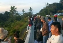 Tourists rush to Doi Inthanon as temperatures drop to 10 degrees