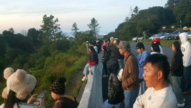 Tourists rush to Doi Inthanon as temperatures drop to 10 degrees