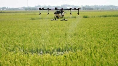 Thailand drones on: Flying tech to lift farmers’ fortunes