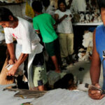 Labour of love: Thailand scrambles to clean up its fishy business | Thaiger