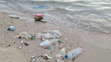 Beach please: Pattaya tourists tide over by shocking litter crisis