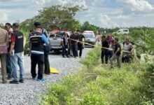 Police hunt gunman after man found shot dead in Thai field