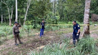 Husband accidentally shoots wife in Nakhon Si Thammarat, flees