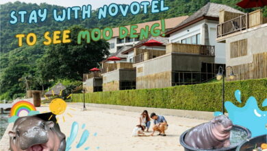 Novotel Marina Sriracha’s special packages: Say goodbye to eye strain, hello to Moo Deng