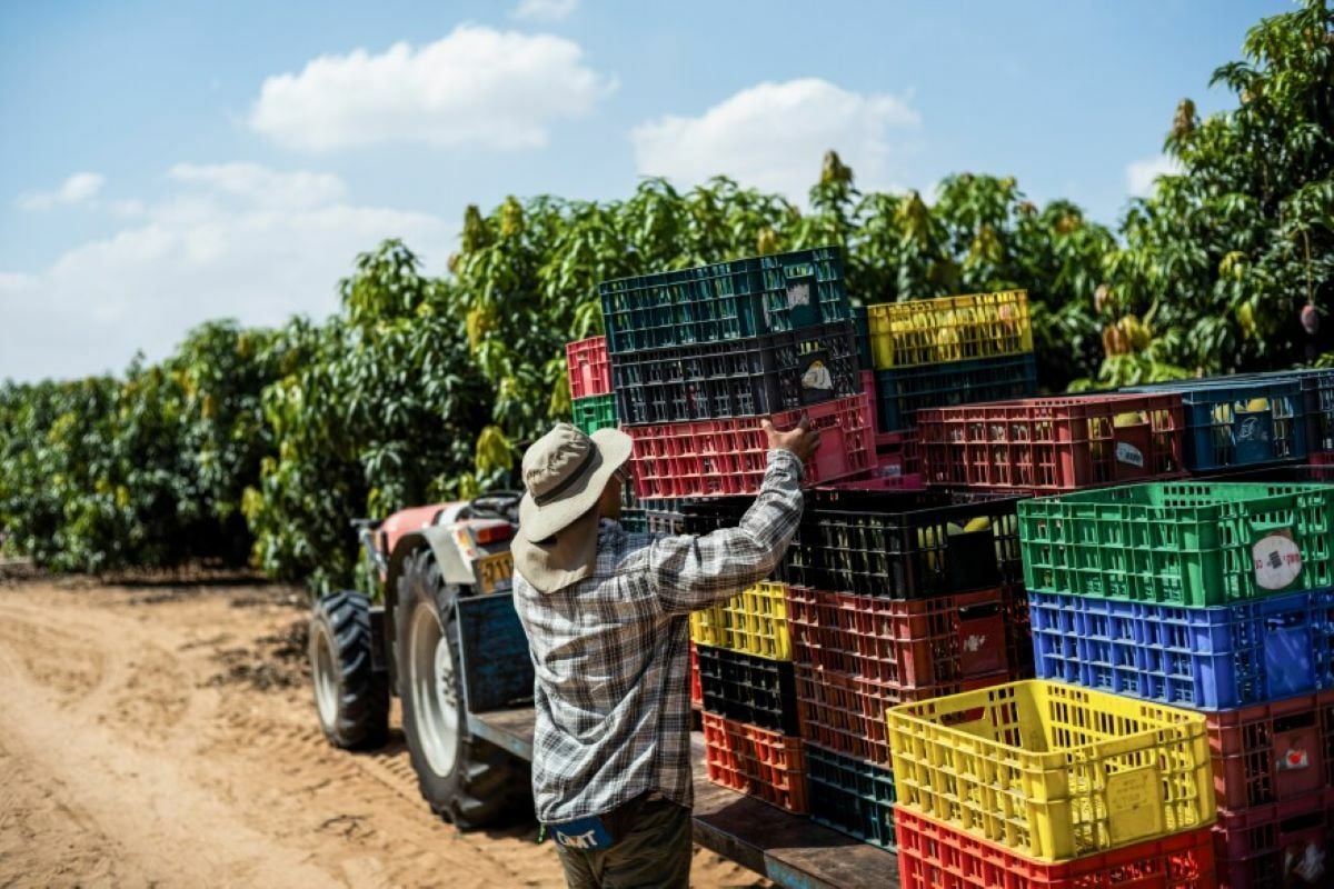 Thai worker killed by leftover ammunition in Israeli orchard