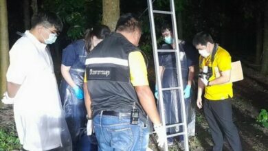 Elderly man dies after falling from ladder in Chanthaburi orchard