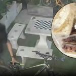 Pattaya bike thief pedals away with a full plate, leaves sticky rice | Thaiger