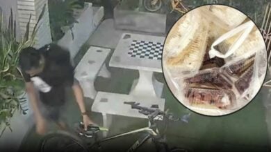 Pattaya bike thief pedals away with a full plate, leaves sticky rice