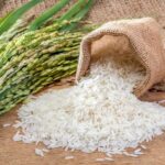 Thailand leads Southeast Asia in agricultural exports, 8th globally | Thaiger