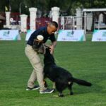 Paws and effect: RTA to unleash 64 &#8216;unfit&#8217; service dogs in auction | Thaiger