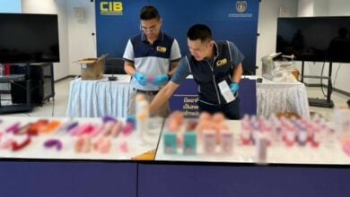 Toying with trouble: Thai cops bust multi-national sex toy syndicate