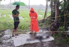 Human skeletal remains found along Ratchaburi canal road