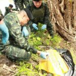 Chiang Rai cops needle out 126kg heroin in Mae Sai drug bust | Thaiger
