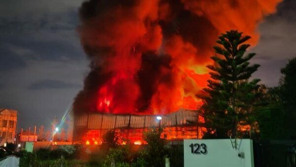 Blazing saddles: Heroic firefighters rein in warehouse fire