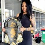 Shell-shocked: Woman&#8217;s turtle rescue paves way for good luck | Thaiger